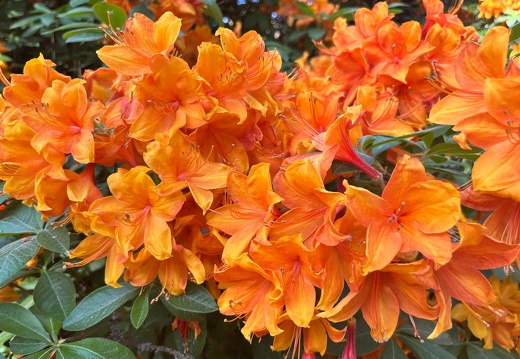 23-06-03 16-57-42 5808